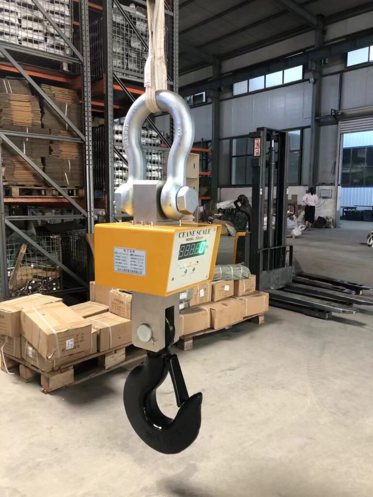 The Complete Guide to Crane and Suspension Scales: Everything You Should Know 2 leading static weighing system dealer